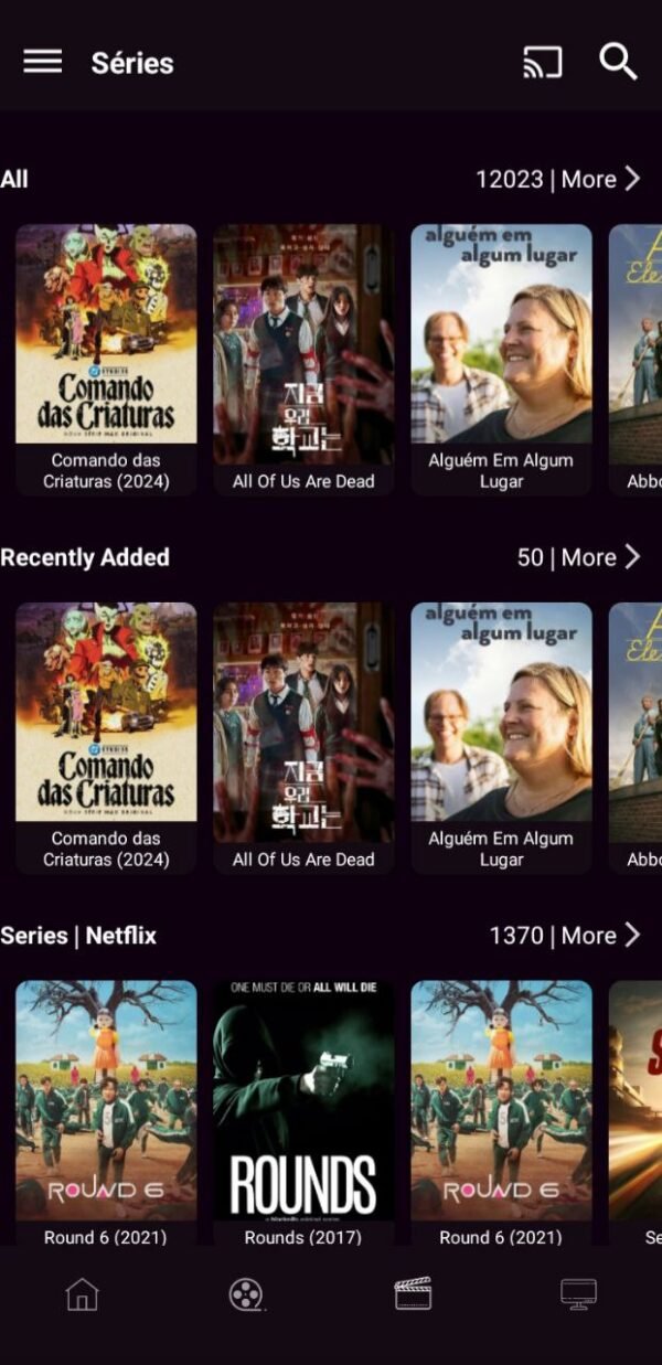 Script Xtream Player Estilo Netflix Com Painel - Imagem 4
